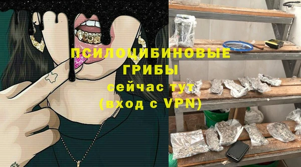 соль ск Абаза