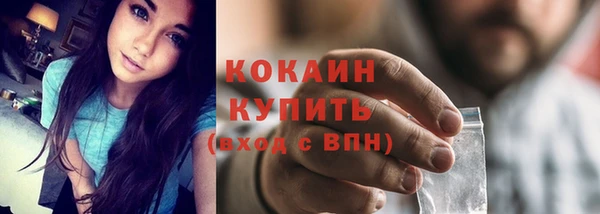 соль ск Абаза