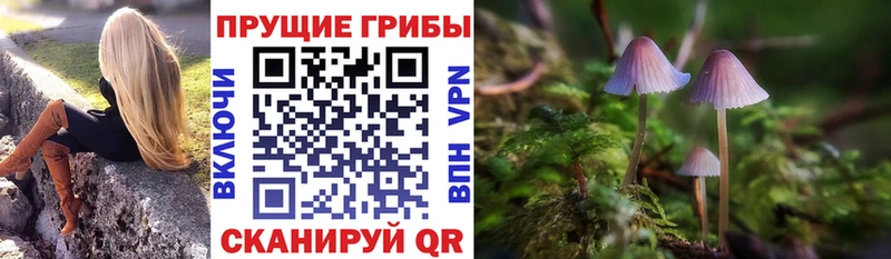 Галлюциногенные грибы мухоморы  Калачинск 